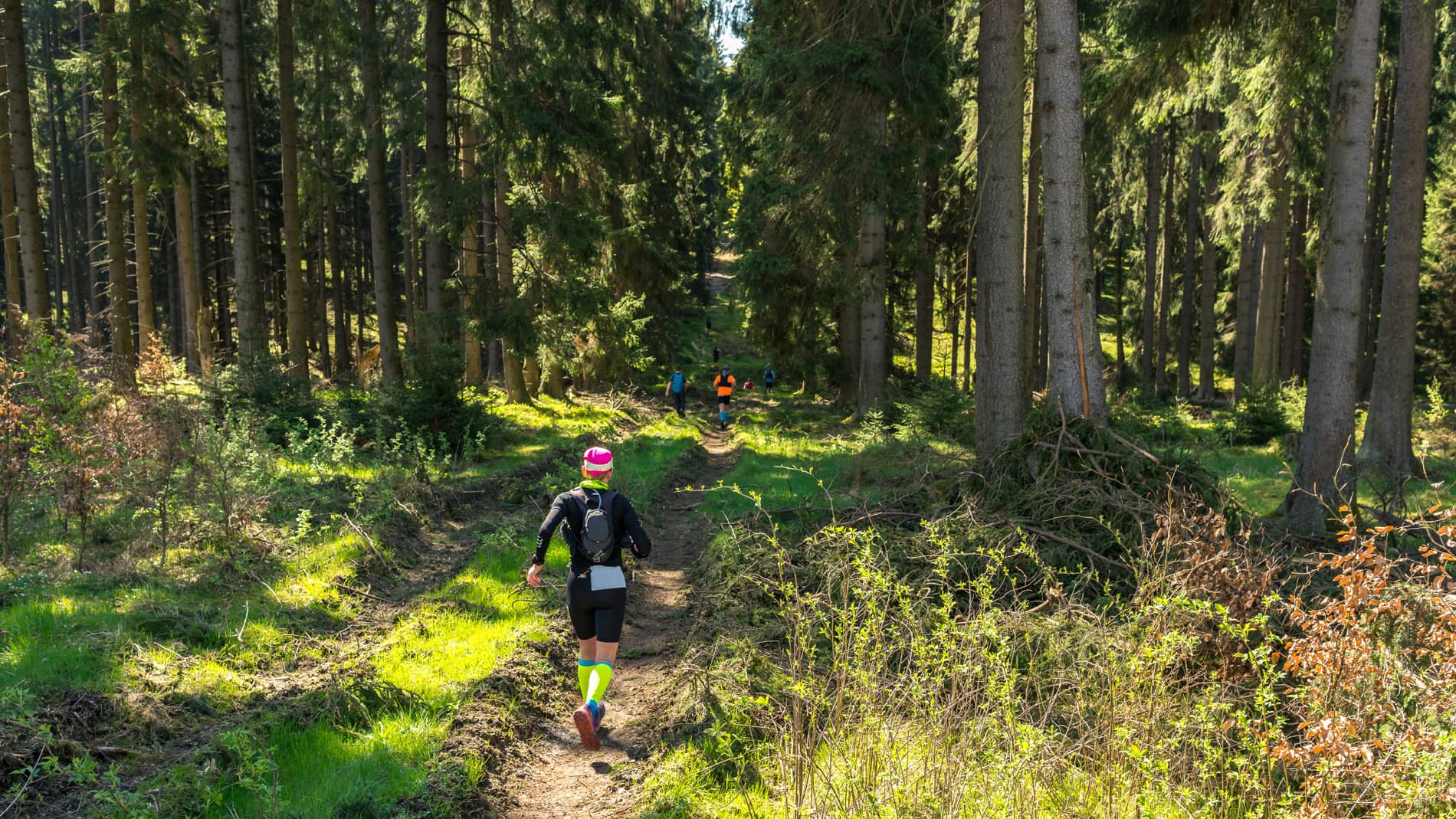 Structurer son entraînement trail