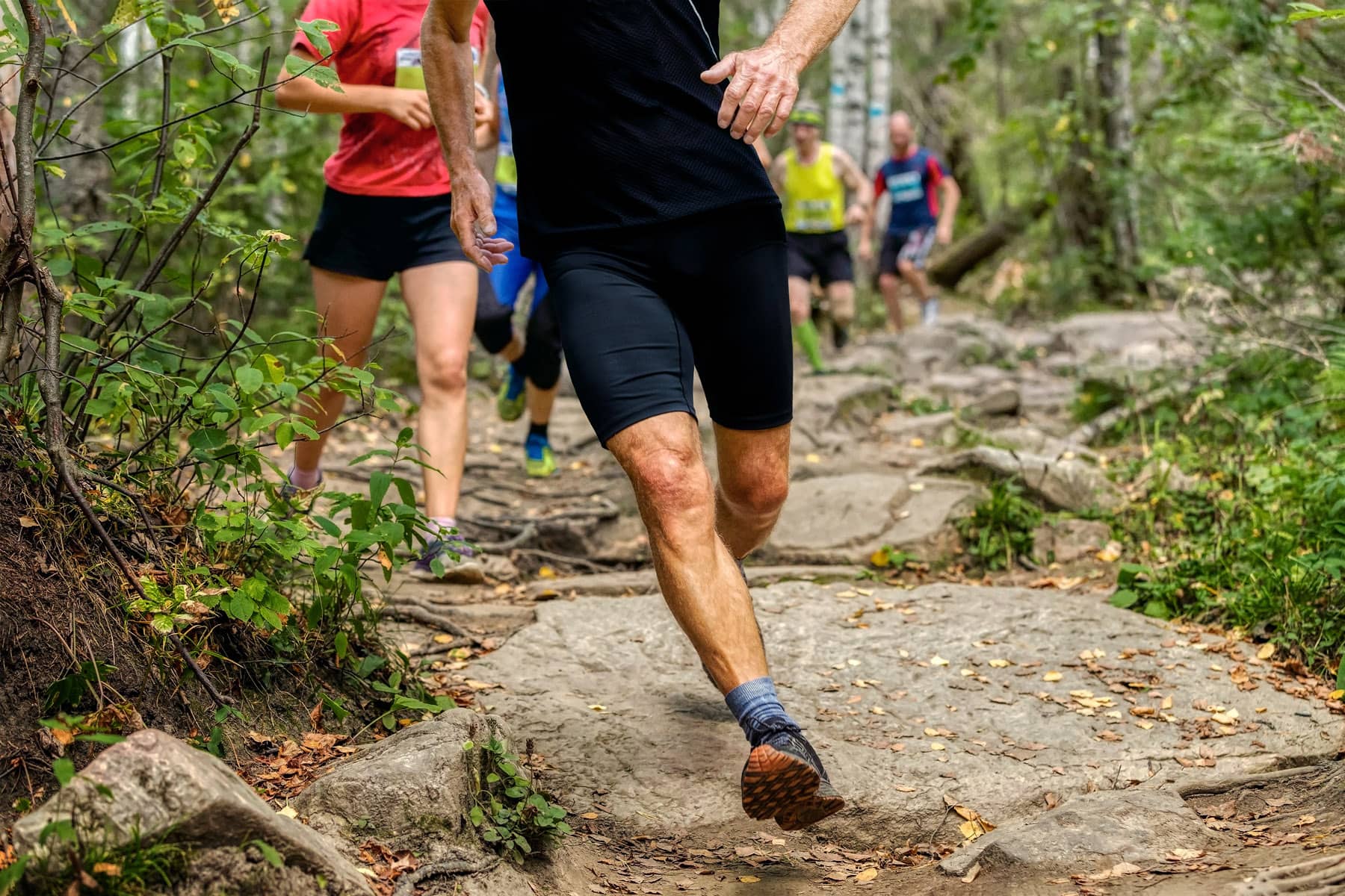Débuter le trail - Illustration: coureurs de trail sur un sentier