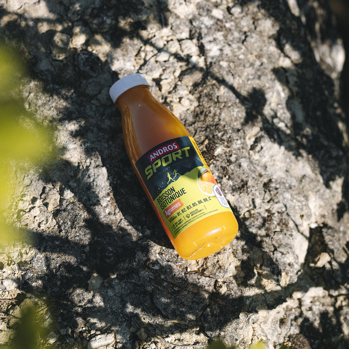 Boisson Isotonique Agrumes 330 mL
